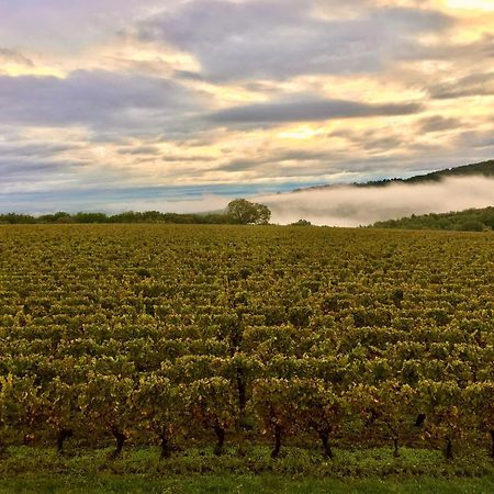 Domaine Joseph Lafarge Wine Resort Winemaker House La Maison Du Negociant リュニー郡 エクステリア 写真