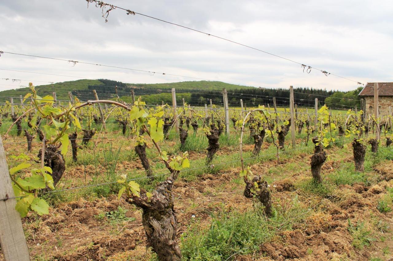 Domaine Joseph Lafarge Wine Resort Winemaker House La Maison Du Negociant リュニー郡 エクステリア 写真