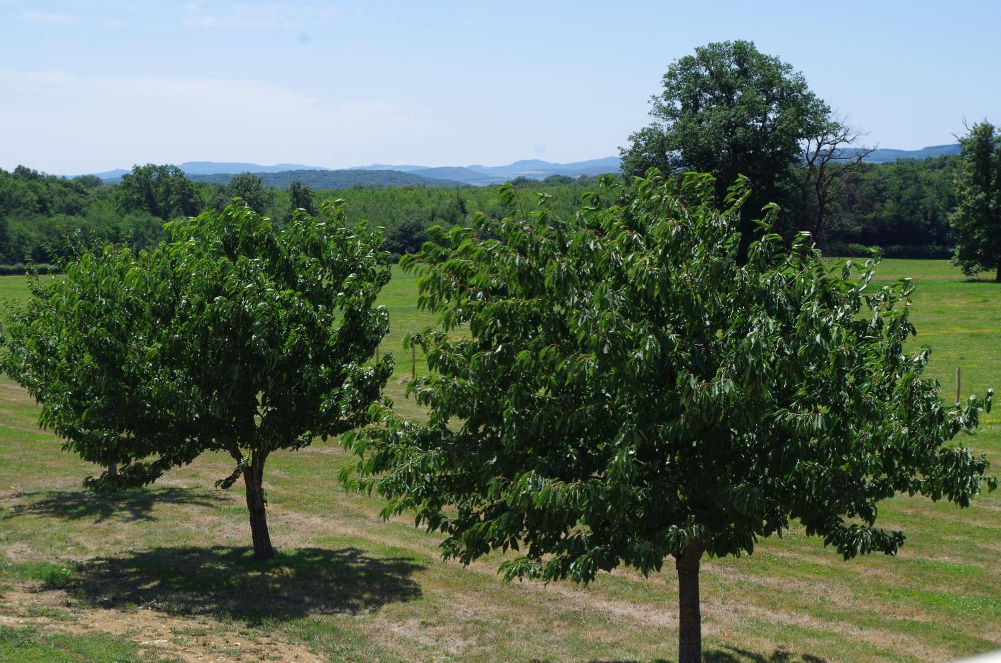 Domaine Joseph Lafarge Wine Resort Winemaker House La Maison Du Negociant リュニー郡 エクステリア 写真