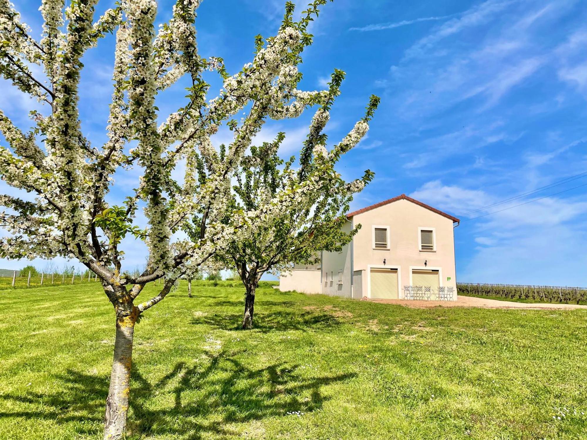 Domaine Joseph Lafarge Wine Resort Winemaker House La Maison Du Negociant リュニー郡 エクステリア 写真